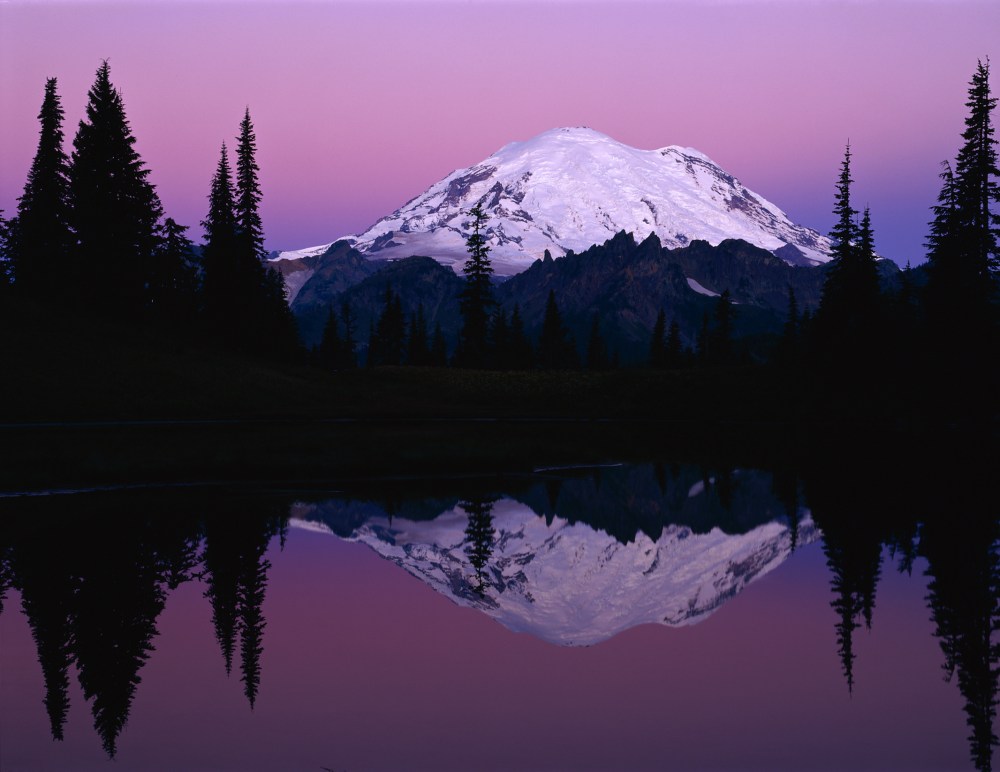 シアトルを拠点として、北米での市場調査から販売代理店探し、展示会サポート、現地法人設立、デジタルマーケティングなど、様々な販路開拓支援サービスにて、私たちは太平洋の向こう側であなたが成功するための最良の選択肢を決定することができます。